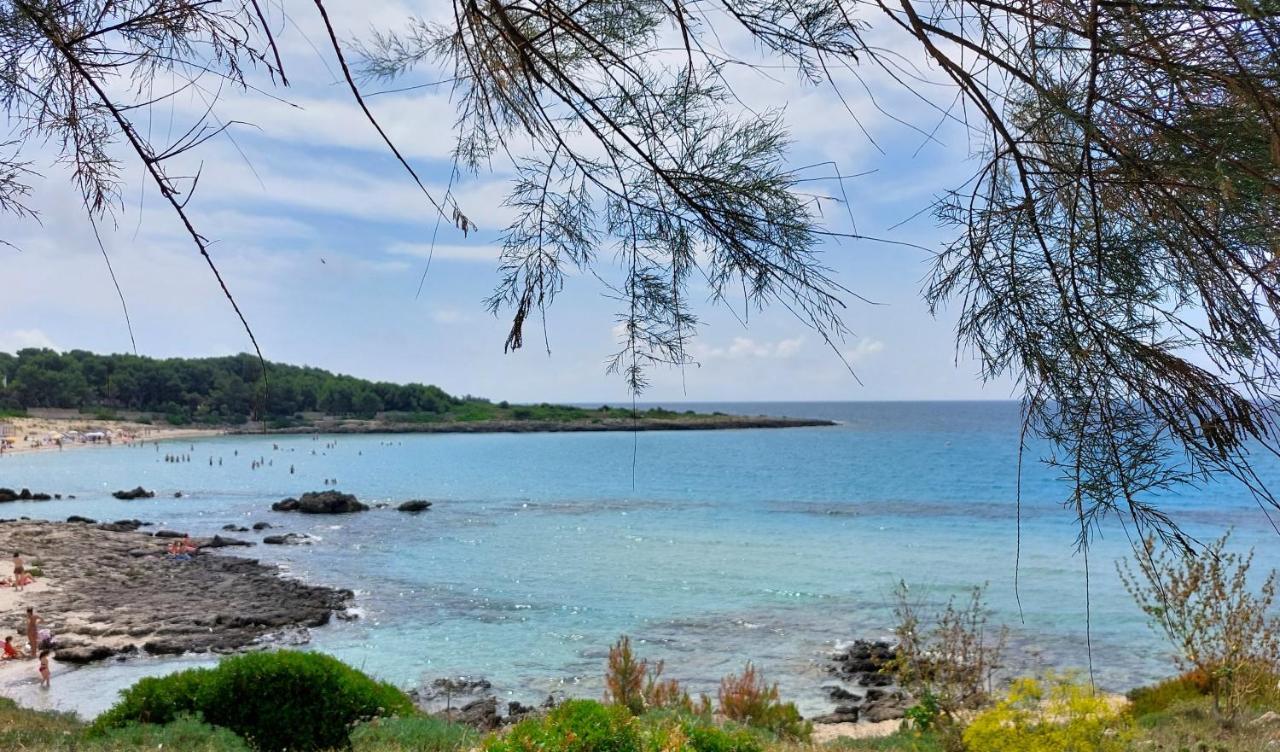Jonia Appartamento Vacanze Vicino Al Mare Con Giardino Pulsano Εξωτερικό φωτογραφία