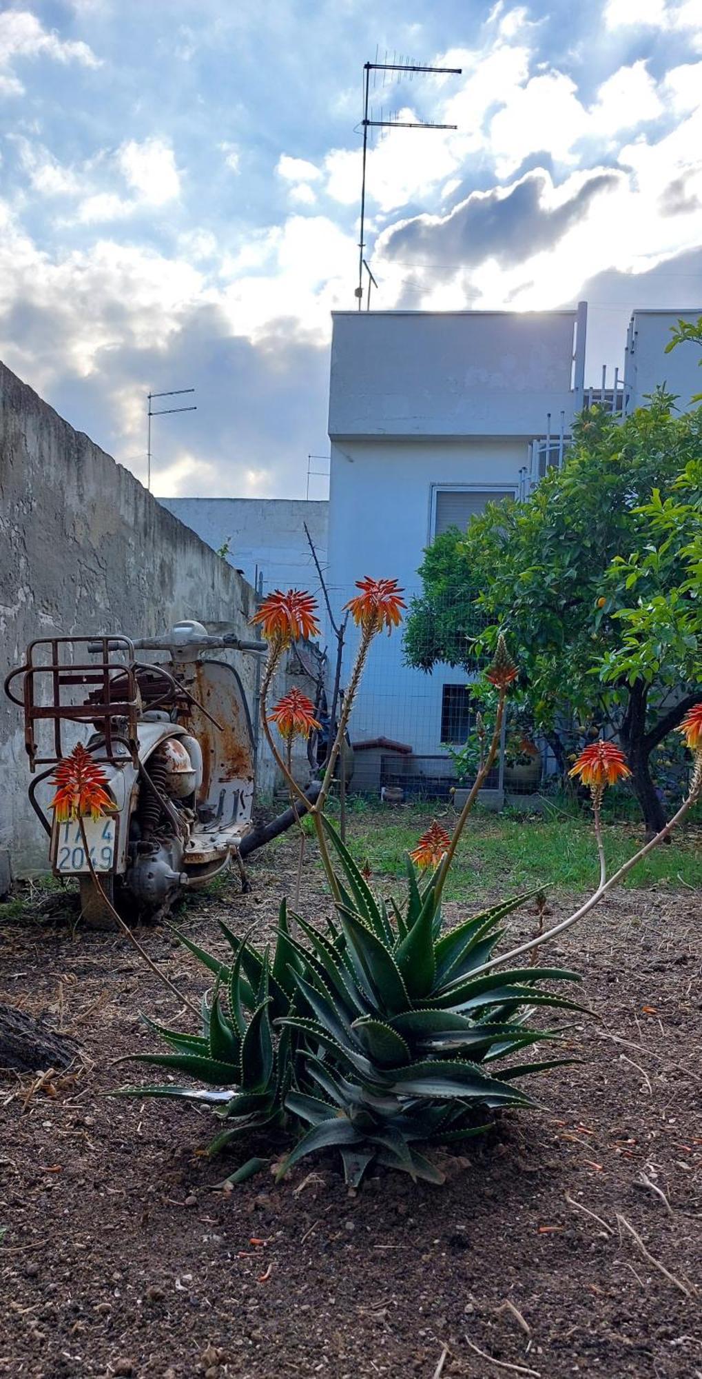 Jonia Appartamento Vacanze Vicino Al Mare Con Giardino Pulsano Εξωτερικό φωτογραφία